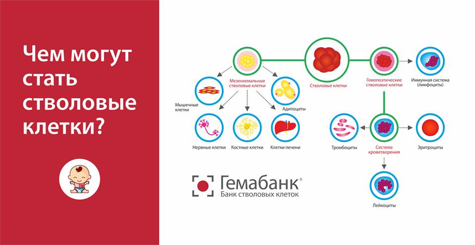 таблица